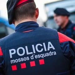 Interior ya sugiere errores en el dispositivo que no evitó un atropello masivo