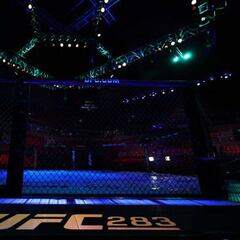 Who won UFC 283: Teixeira vs Hill?