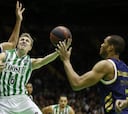 Real Betis - Real Madrid: horario, TV y dónde ver la ACB