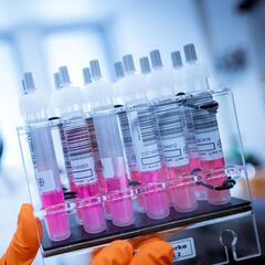 Go.Data, la herramienta de la OMS que podría evitar un rebrote