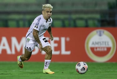 Te presentamos a 5 ex integrantes de la Liga MX, que ahora están en Brasil