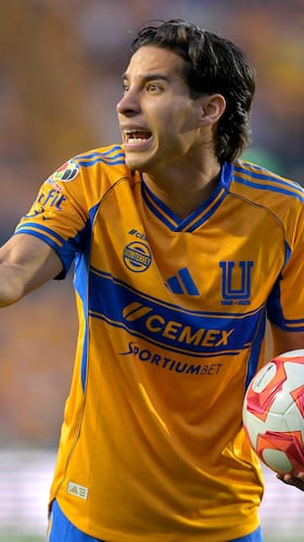 “Aguirre se casa con ciertos jugadores”