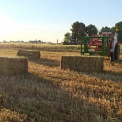 Quiénes pueden cobrar la prestación por desempleo del SEPE con menos de un año cotizado