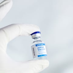 “Espectaculares” resultados de la vacuna intranasal española