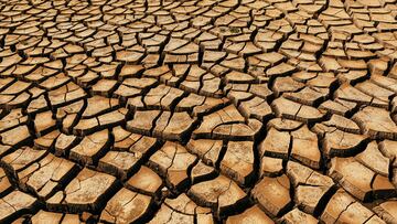 Declaratoria de emergencia por sequía: cuándo entra en vigor y estados afectados