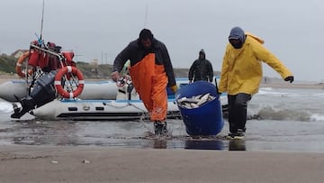 "Pescadazo" en el Congreso: venden 12 toneladas a 100 pesos el kilo