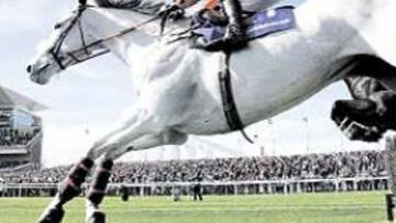 <b>TREINTA OBSTÁCULOS. </b>El recorrido del Grand National en Aintree cuenta con sus tradicionales 7.200 metros y 30 obstáculos.