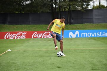 La Selección Colombia trabaja en la Sede de la Federación Colombiana de Fútbol en Bogotá con el grupo casi completo. Fabra, Borja, Mateus, Lerma y compañía se alistan para el partido de despedida, el viaje a Italia y el Mundial.