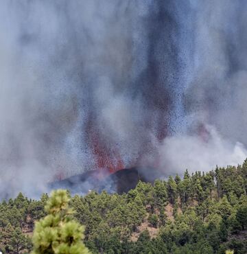 La erupción volcánica ayer (domingo 19 de septiembre) en los alrededores de Las Manchas, en El Paso (La Palma), después de que el complejo de la Cumbre Vieja acumulara miles de terremotos en la última semana, conforme el magma iba presionando el subsuelo en su ascenso. Las autoridades habían comenzado horas antes evacuar a las personas con problemas de movilidad en cuatro municipios.