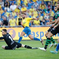 Pejiño está sembrado en Gran Canaria