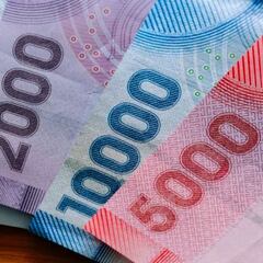 Bono 120 mil pesos | Cómo actualizar el RSH y qué hacer para cobrar el Bono Invierno