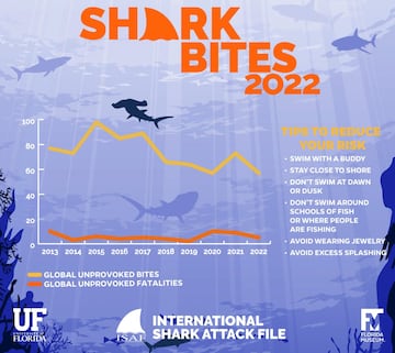 Ataques de tiburón en el mundo desde 2013 hasta 2022. 