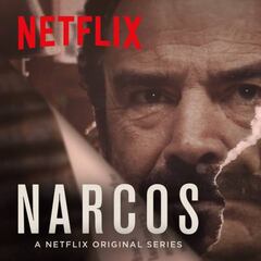 Quién es quién en Narcos y cómo ha llegado hasta aquí