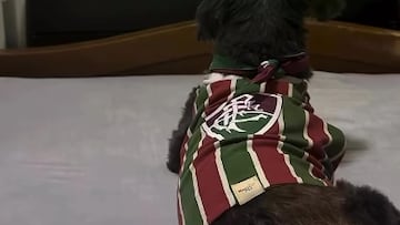 El caniche que arrasa en las redes por la forma en la que celebra los goles de Fluminense
