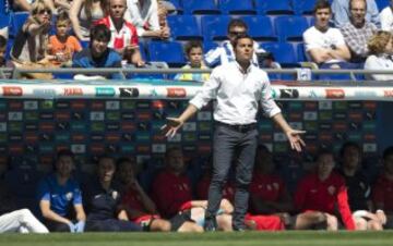 El entrenador de la UD Almería, Francisco Rodríguez, reacciona durante el partido frente al RCD Espanyol, correspondiente a la 35ª jornada de Liga BBVA, disputado esta mañana en Cornellá-El Prat. 