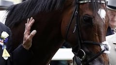 Frankel, adiós al mejor caballo de la historia
