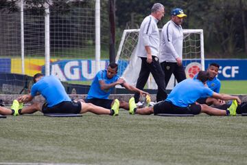 El equipo argentino hizo un trabajo regenerativo en la cancha principal de la Federación Colombia de Fútbol. Villa y Fabra, los dos colombianos presentes. 