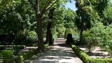 Está ubicado en el Triángulo del Arte, junto a los museos del Prado, Thyssen y Reina Sofía. En él podemos disfrutar de numerosas especies de árboles, plantas y flores no solo de la Península Ibérica, sino también de América. Esta ubicación madrileña forma parte del Paisaje de Luz, que fue declarado Patrimonio de la Humanidad. Pasear por el Real Jardín Botánico es todo un deleite para la vista.