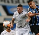 Gremio 1-1 Santos: goles, resumen y resultado