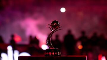 MONTERREY (MÉXICO) 22/11/2024.- Fotografía que muestra el trofeo de campeonas este viernes, previo al juego entre Tigres y Rayadas por el partido de ida de la final del Torneo Apertura 2024 de la Liga Femenil MX, entre Tigres y Rayadas, en el Estadio Universitario de la ciudad de Monterrey. EFE/ Miguel Sierra
