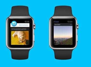 Por qué Instagram desaparece del Apple Watch al actualizarlo
