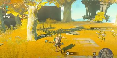 Los Zonnan, la misteriosa raza ancestral que parece conectar con Zelda: Tears of the Kingdom