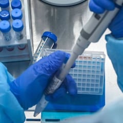 La OMS prueba las plantas medicinales como receta contra el coronavirus