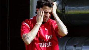 El Arsenal inscribe a Cesc en la Liga de Campeones