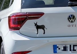 El significado oculto de esta pegatina que usan los conductores en Cataluña: el mensaje es radical