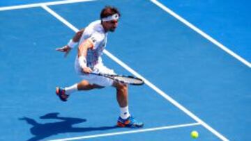 David Ferrer.