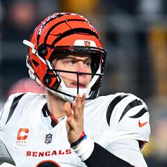 The two results needed for the Cincinnati Bengals to make the playoffs