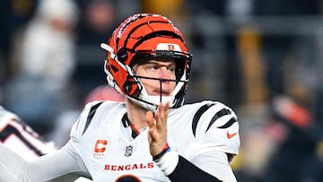What do the Bengals need to make the playoffs?