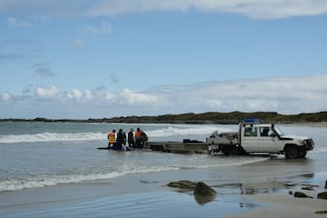 Los equipos de rescate tratan de reflotar algunos de los 157 delfines varados en una playa remota en Tasmania. Decenas de orcas varadas fueron sacrificadas despus de que el clima severo y el aislamiento del rea obstaculizaran los esfuerzos de rescate, segn las autoridades australianas.