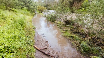 Meteorologists are predicting La Niña conditions will continue for the third winter. What kind of weather will this bring to the US?