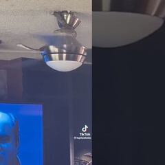 Vídeo: Víbora se enreda en un ventilador de techo y se vuelve viral por como salió de ahí