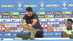 ¿Maltrato?: la reacción del jefe de prensa de Brasil con un gato que generó debate en redes