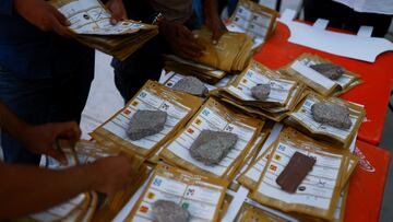 Las elecciones de 2024 no sólo definieron la identidad del nuevo presidente de México, sino también el destino de nueve gubernaturas. Conoce los resultados.