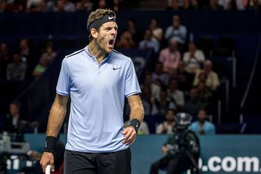 Roger Federer to face Del Potro in his 13th Basel final