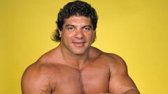 El luchador gan&oacute; dos veces el Campeonato Intercontinental de Peso Pesado de la WWF y entr&oacute; al Sal&oacute;n de la Fama de WWE en 2014.