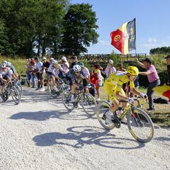 Pogacar remueve la tierra