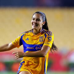 Ferral ve por buen camino el cambio generacional en Tigres