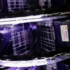 Japón vende test en máquinas expendedoras