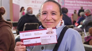 Los beneficiarios de este programa recibirán dos bimestres por adelantado, debido a la veda electoral.