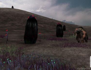 Project Entropia empieza la segunda fase beta