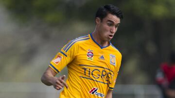 Rafael Durán, Tigres