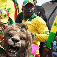 Un peculiar espectador en el Senegal-Guinea