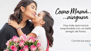 &iquest;C&oacute;mo celebrar el D&iacute;a de la Madre en cuarentena en Colombia?