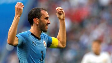 Diego Godín, Selección Uruguaya