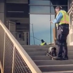 Un guardia de seguridad impide patinar a un perro skater en una escena de lo más surrealista