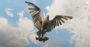 Red Dead Redemption 2: osos, cocodrilos y más animales en sus nuevas imágenes